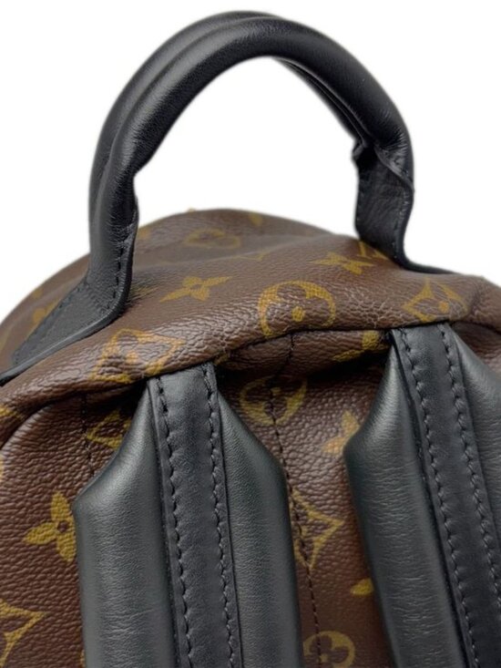 Louis Vuitton Backpack Monogram Palm Spring PM main image 12